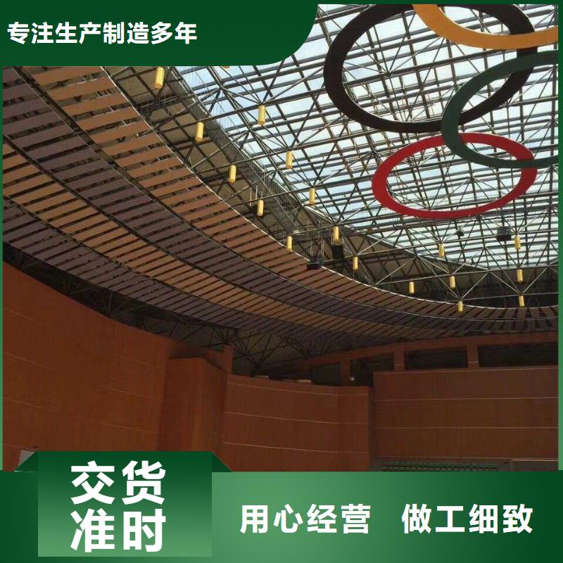 體育館聲學(xué)測試及吸音改造方案--2025近方案/價格