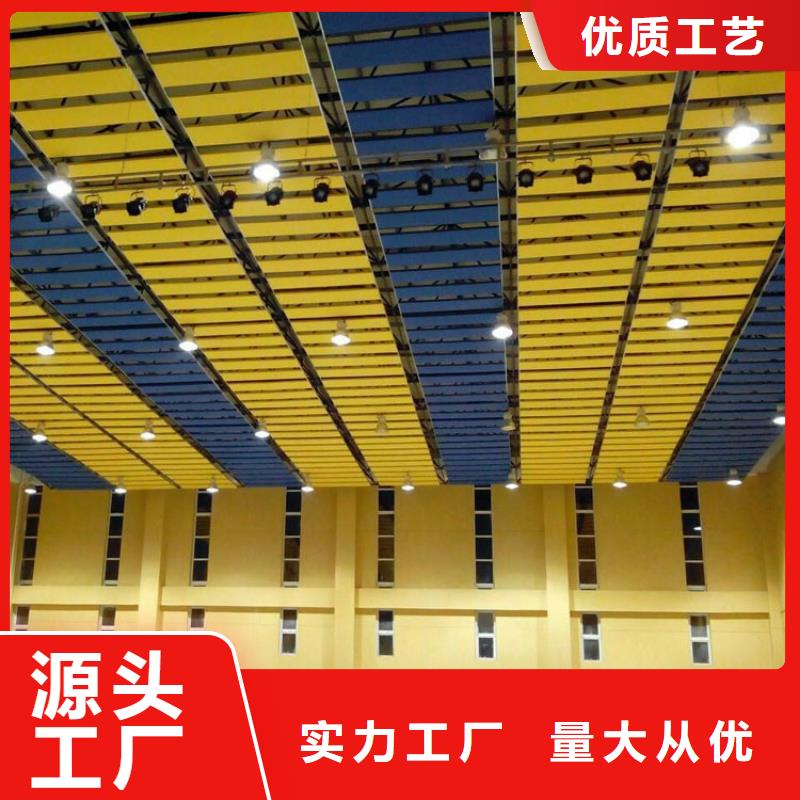 縣集團(tuán)公司體育館聲學(xué)改造方案--2025近方案/價(jià)格
