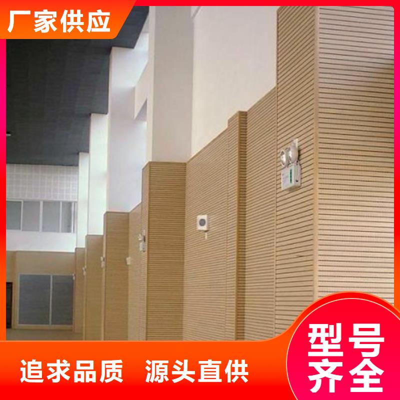 縣集團(tuán)公司體育館聲學(xué)改造價(jià)格--2025近方案/價(jià)格