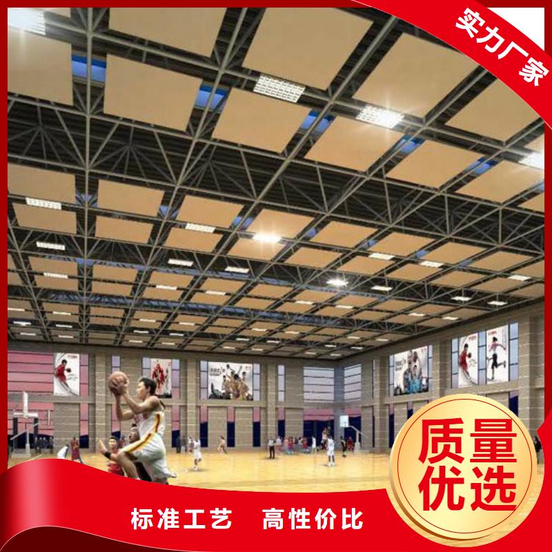 縣體育館聲學(xué)改造價(jià)格--2025近方案/價(jià)格