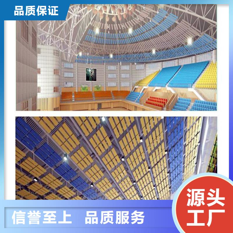 县集团公司体育馆声学改造方案--2025近方案/价格