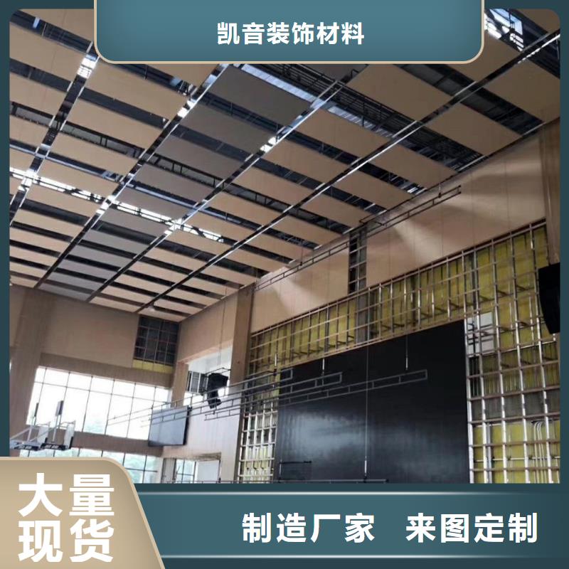 县集团公司体育馆声学改造方案--2025近方案/价格