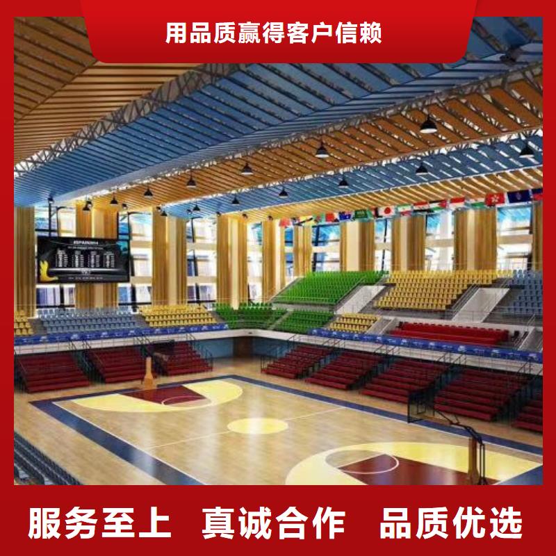 县集团公司体育馆声学改造方案--2025近方案/价格