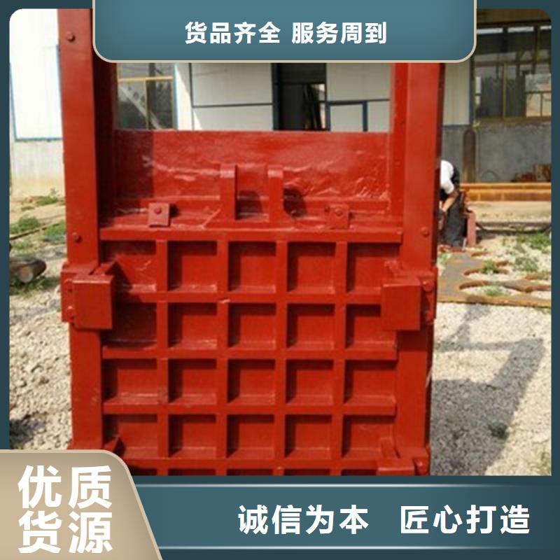 PZJY一体式闸门-热销