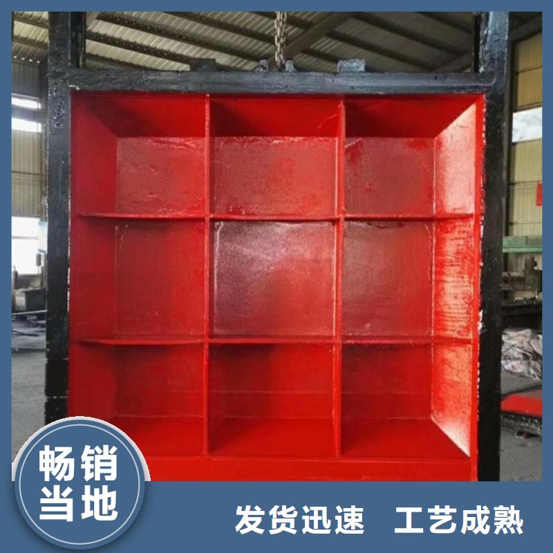 PZJY一體式閘門(mén)_多年制造經(jīng)驗(yàn)