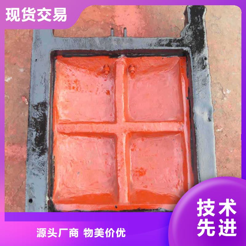 鑄鐵鑲銅閘門-品質(zhì)保障