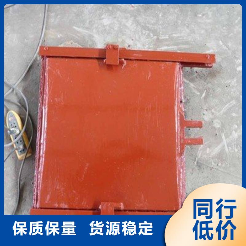 PZJY一体式闸门-热销