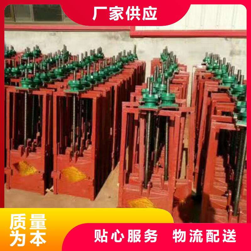 #河道閘門廠家#可定制