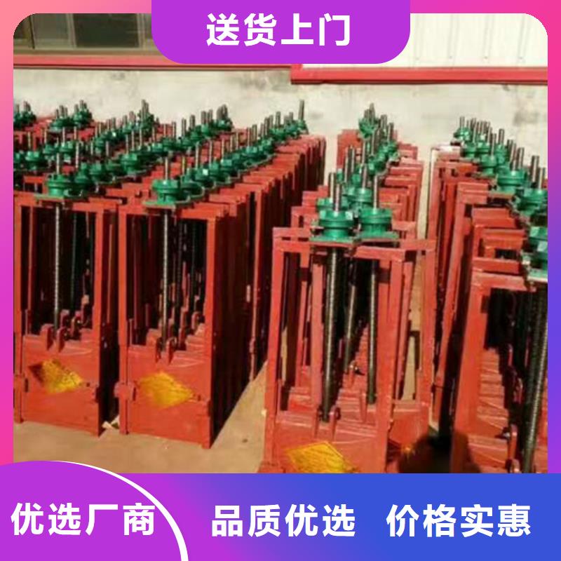發(fā)貨速度快的雙向鑄鐵閘門基地