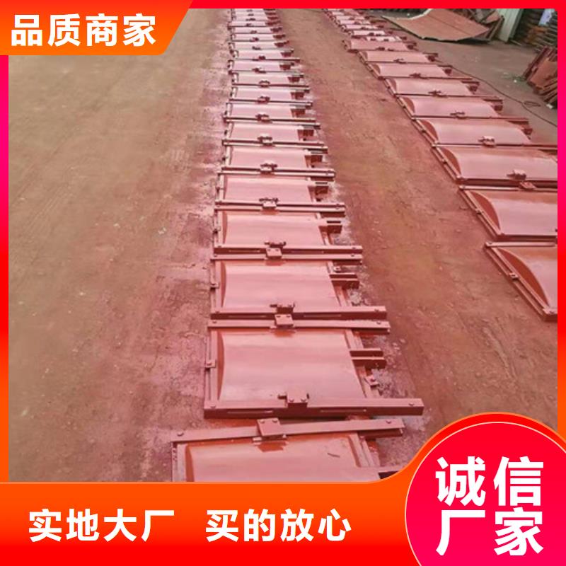 平板鑄鐵閘門品牌廠家價格優(yōu)惠