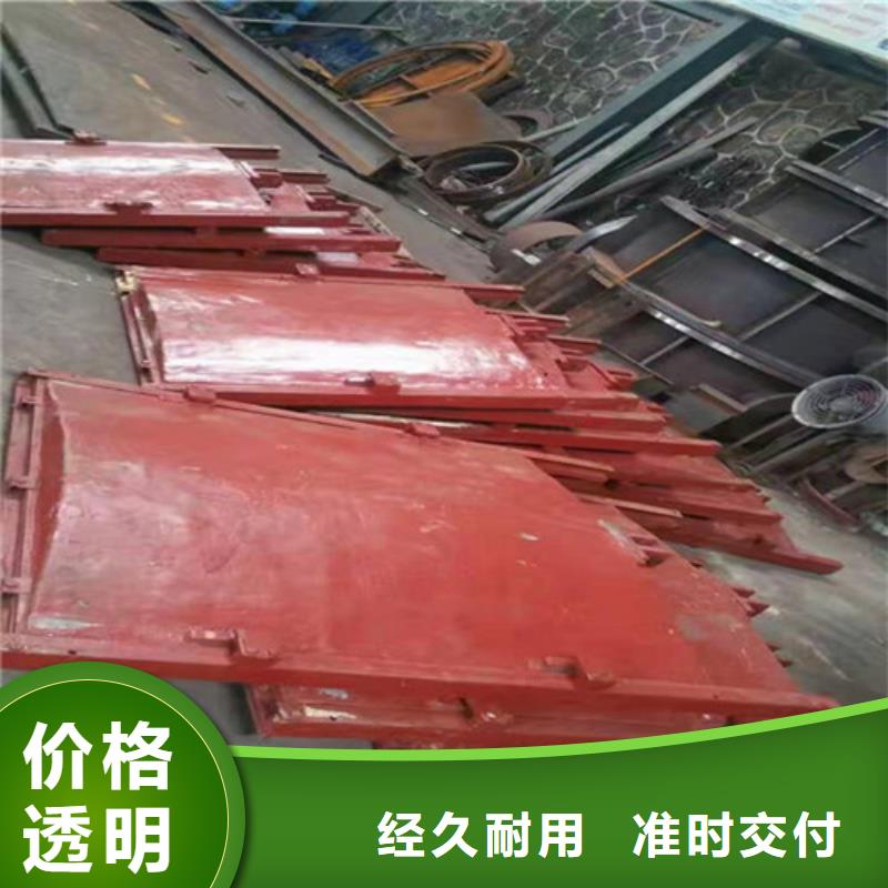 PZJY一體式閘門(mén)_多年制造經(jīng)驗(yàn)