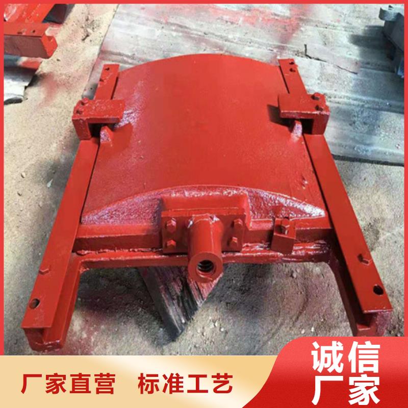 PZJY一體式閘門(mén)_多年制造經(jīng)驗(yàn)