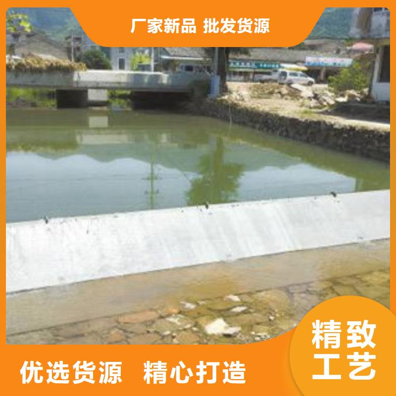 液壓翻板鋼閘門十周年促銷