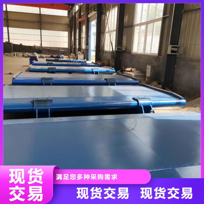 翻板閘門定制工廠