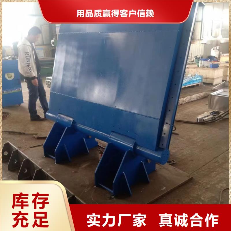 定制翻板閘門_優(yōu)質廠家