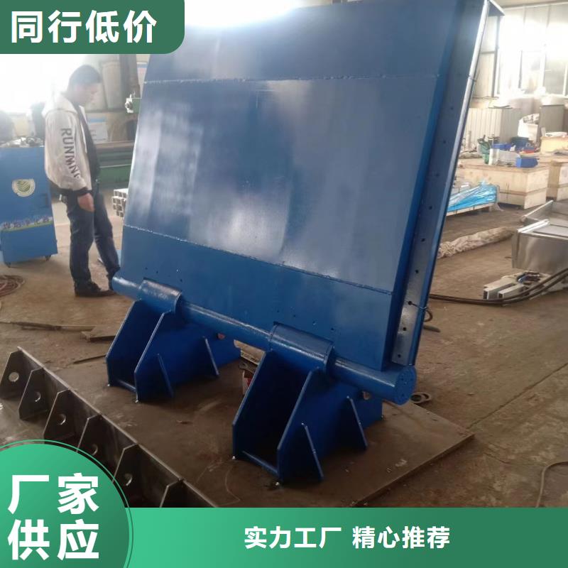 液壓翻板鋼閘門批發(fā)品類齊全