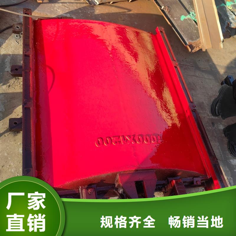 雨污分流闸门实体厂家