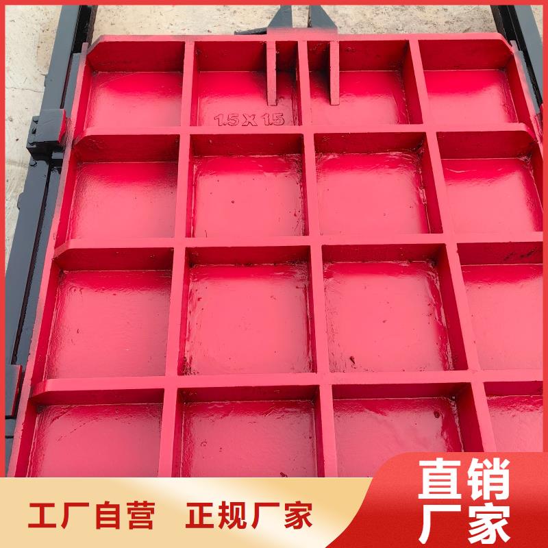 铸铁镶铜闸门渠道专用电话