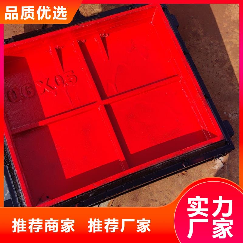 雨污分流闸门实体厂家