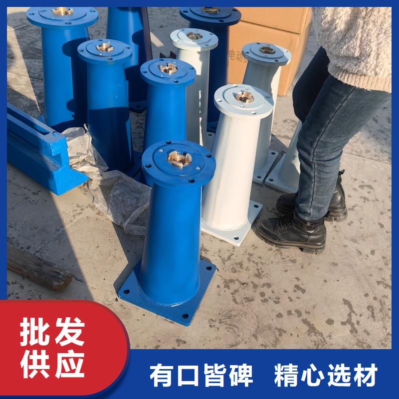 手电两用螺杆式启闭机支持定制