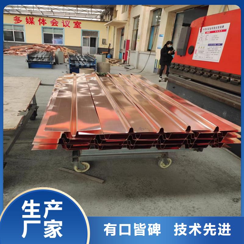 銅止水板廠家實(shí)力可靠
