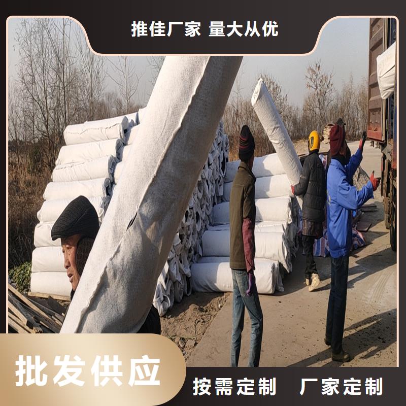 土工席墊多少錢廠家-質(zhì)量可靠