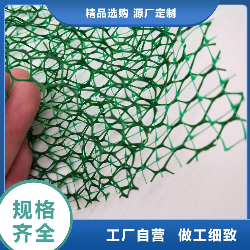 生產(chǎn)三維排水網(wǎng)的實(shí)體廠家