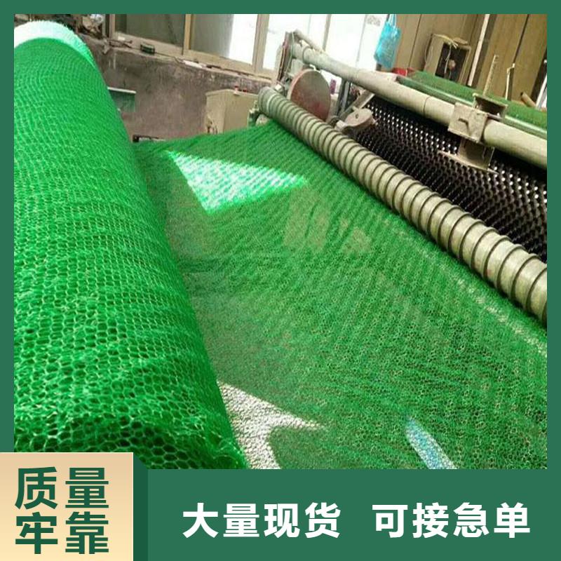 供應(yīng)三維土工網(wǎng)墊_廠家