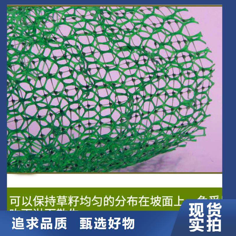 三維土工網(wǎng)植草護(hù)坡貼心服務(wù)