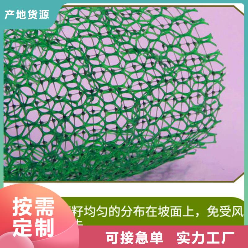 庫存充足的三維土工網(wǎng)植草多少錢一平方批發(fā)商