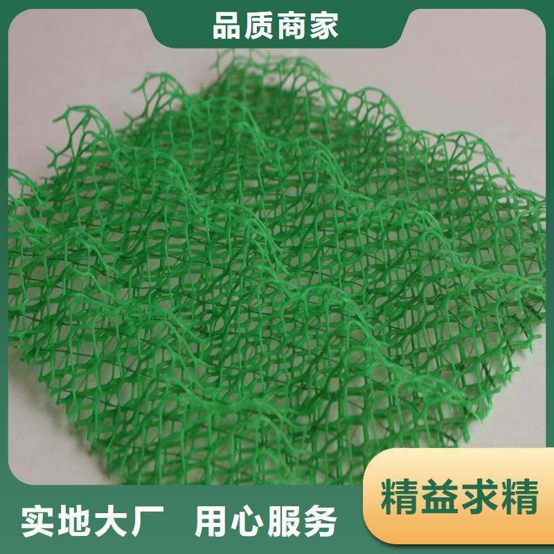 供應(yīng)三維土工網(wǎng)墊_廠家