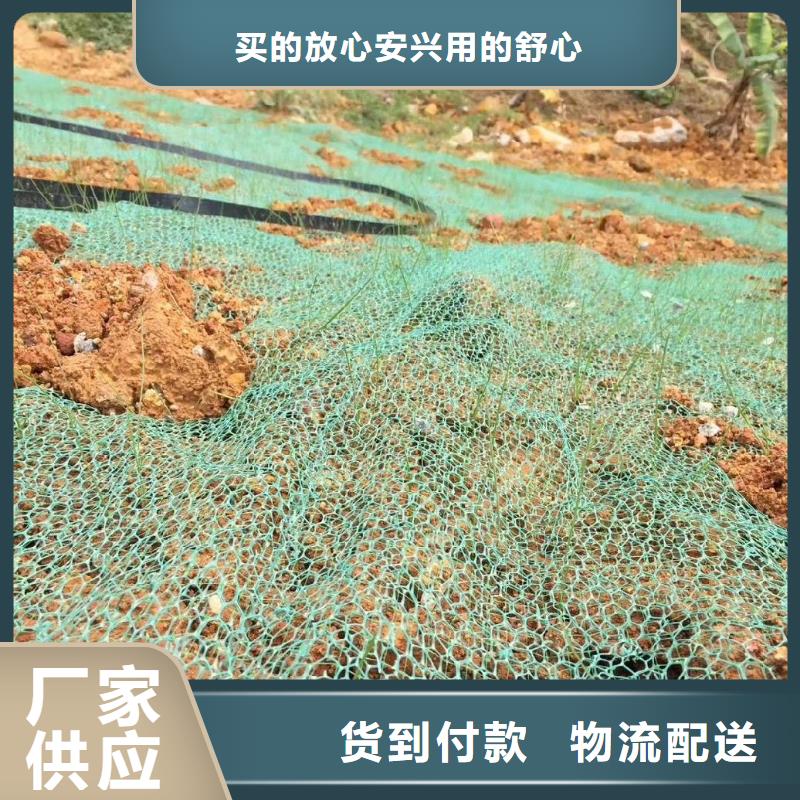 三維植被網(wǎng)規(guī)格參數(shù)設(shè)計(jì)施工