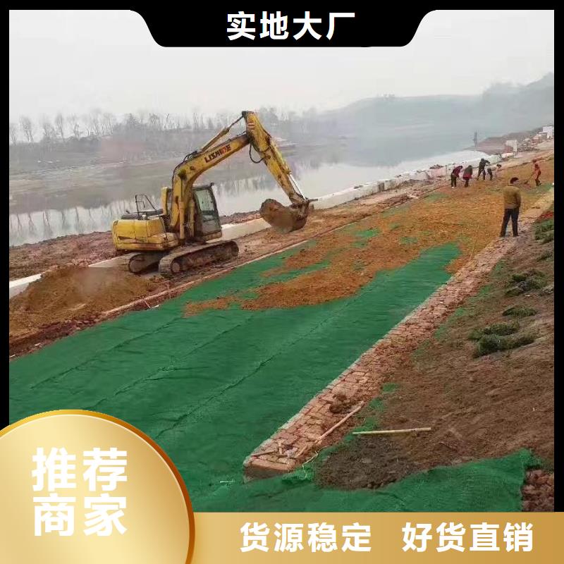 供應(yīng)三維土工網(wǎng)墊_廠家