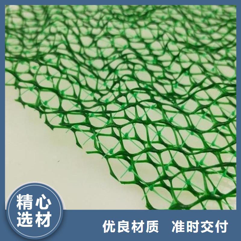 庫存充足的三維土工網(wǎng)植草多少錢一平方批發(fā)商