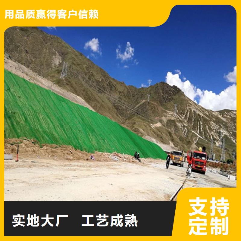 庫存充足的三維土工網(wǎng)植草多少錢一平方批發(fā)商