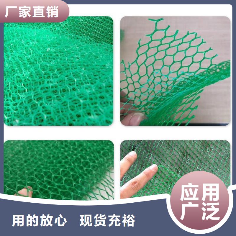生產(chǎn)三維排水網(wǎng)的實(shí)體廠家