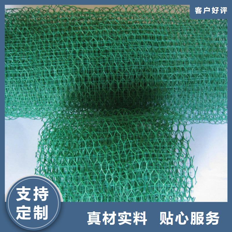 供應(yīng)三維土工網(wǎng)墊_廠家