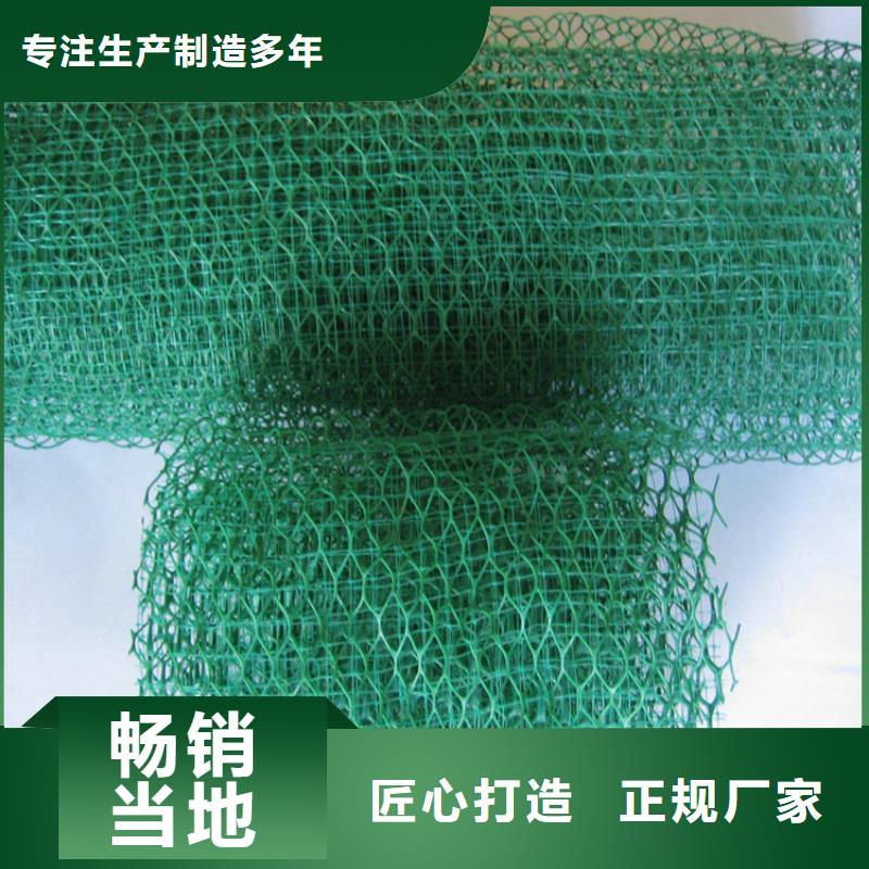 生產(chǎn)三維排水網(wǎng)的實(shí)體廠家