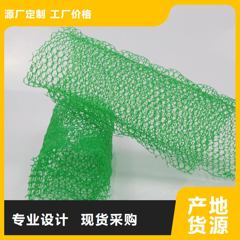 三維植被網(wǎng)護坡報價參數(shù)詳情