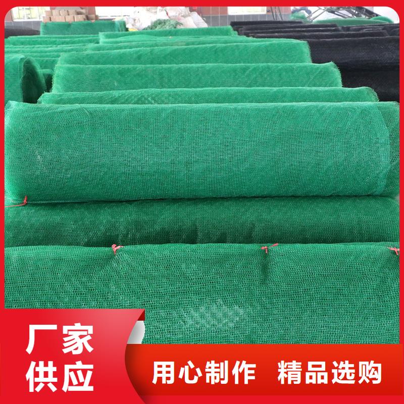 三維土工網(wǎng)植草護(hù)坡貼心服務(wù)