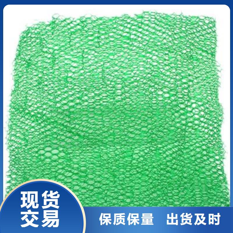 三維植被網(wǎng)規(guī)格參數(shù)設(shè)計(jì)施工