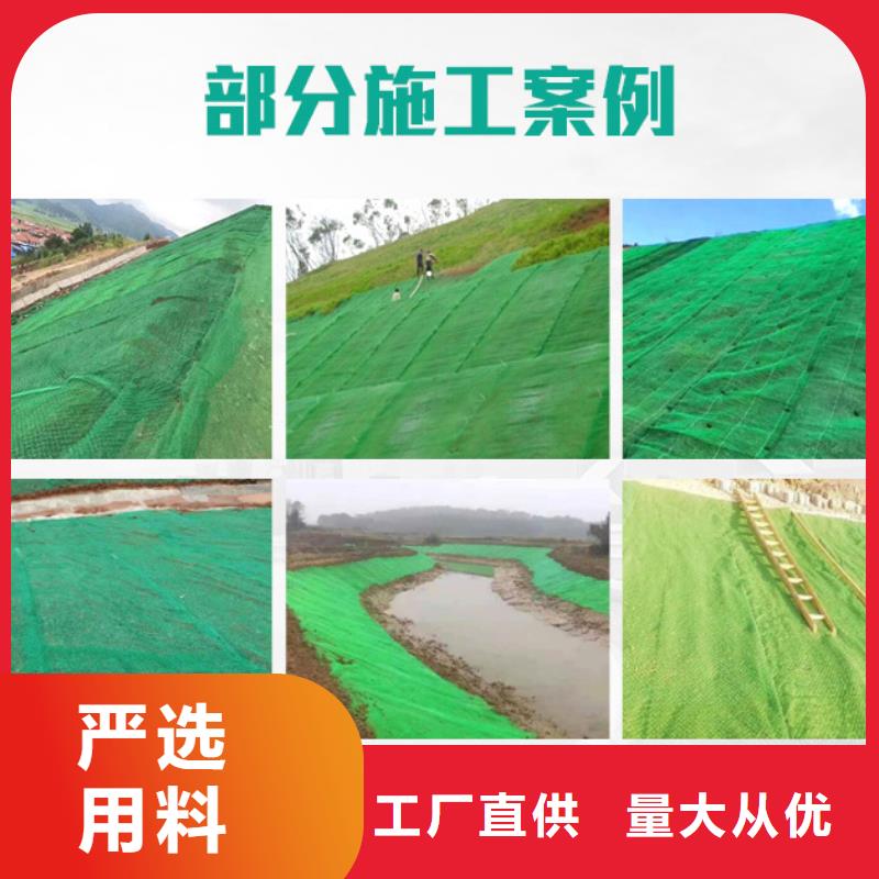 加筋麥克墊生態(tài)護坡現(xiàn)貨上市