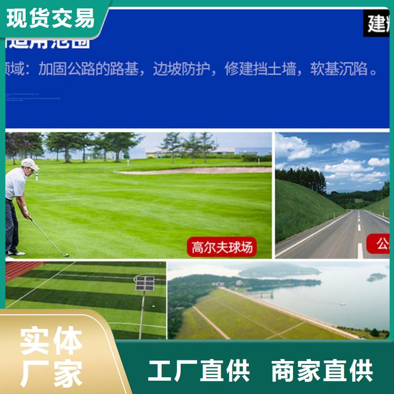 生產(chǎn)三維排水網(wǎng)的實(shí)體廠家