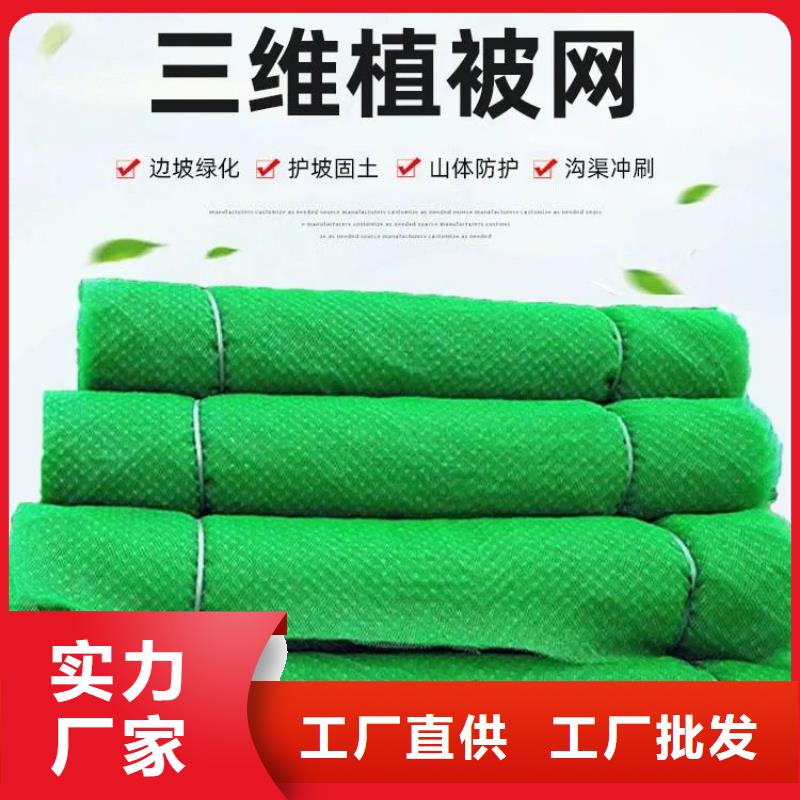 庫存充足的三維土工網(wǎng)植草多少錢一平方批發(fā)商