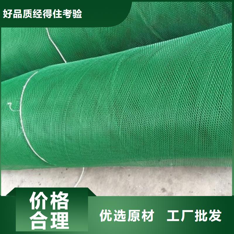 庫存充足的三維土工網(wǎng)植草多少錢一平方批發(fā)商