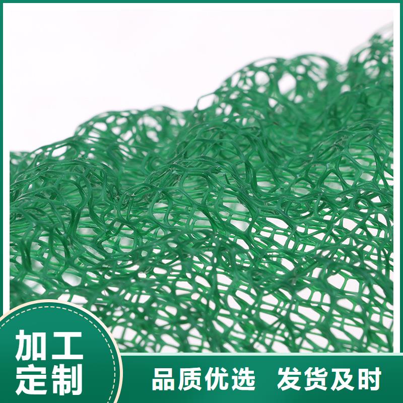 三維土工網(wǎng)植草護(hù)坡貼心服務(wù)