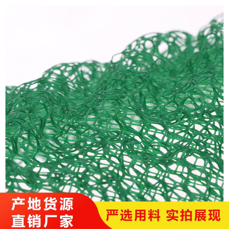 供應(yīng)三維土工網(wǎng)墊_廠家
