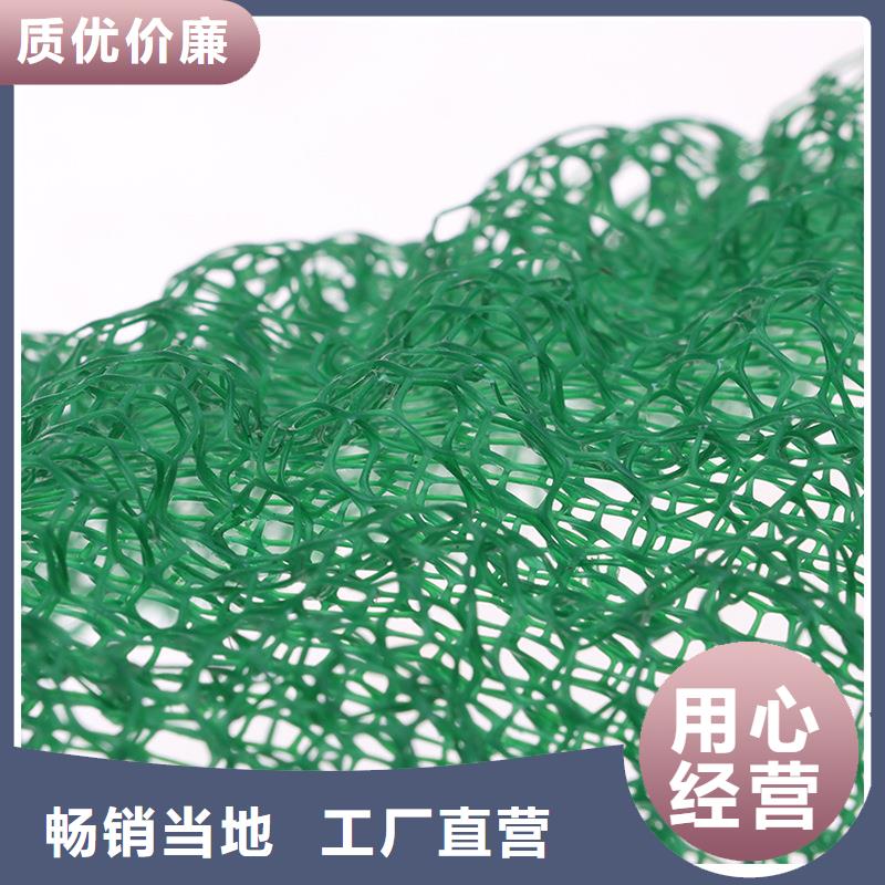 三維植被網(wǎng)護坡報價參數(shù)詳情
