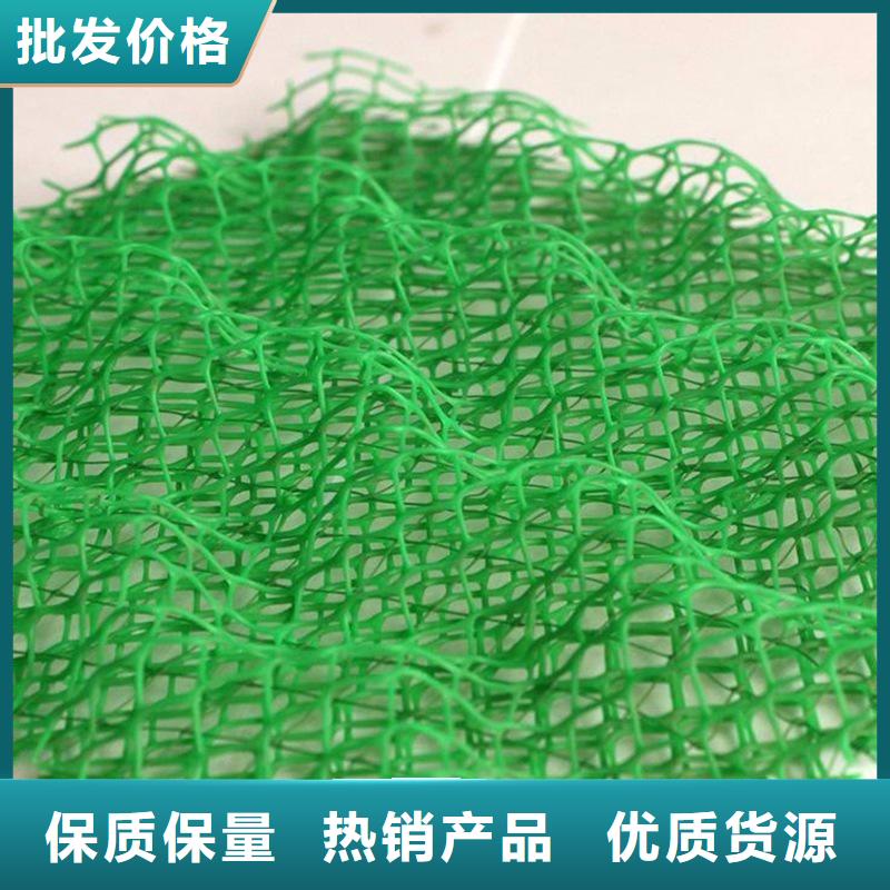 三維土工網(wǎng)植草護(hù)坡貼心服務(wù)