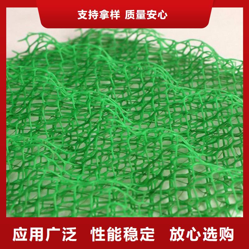 供應(yīng)三維土工網(wǎng)墊_廠家